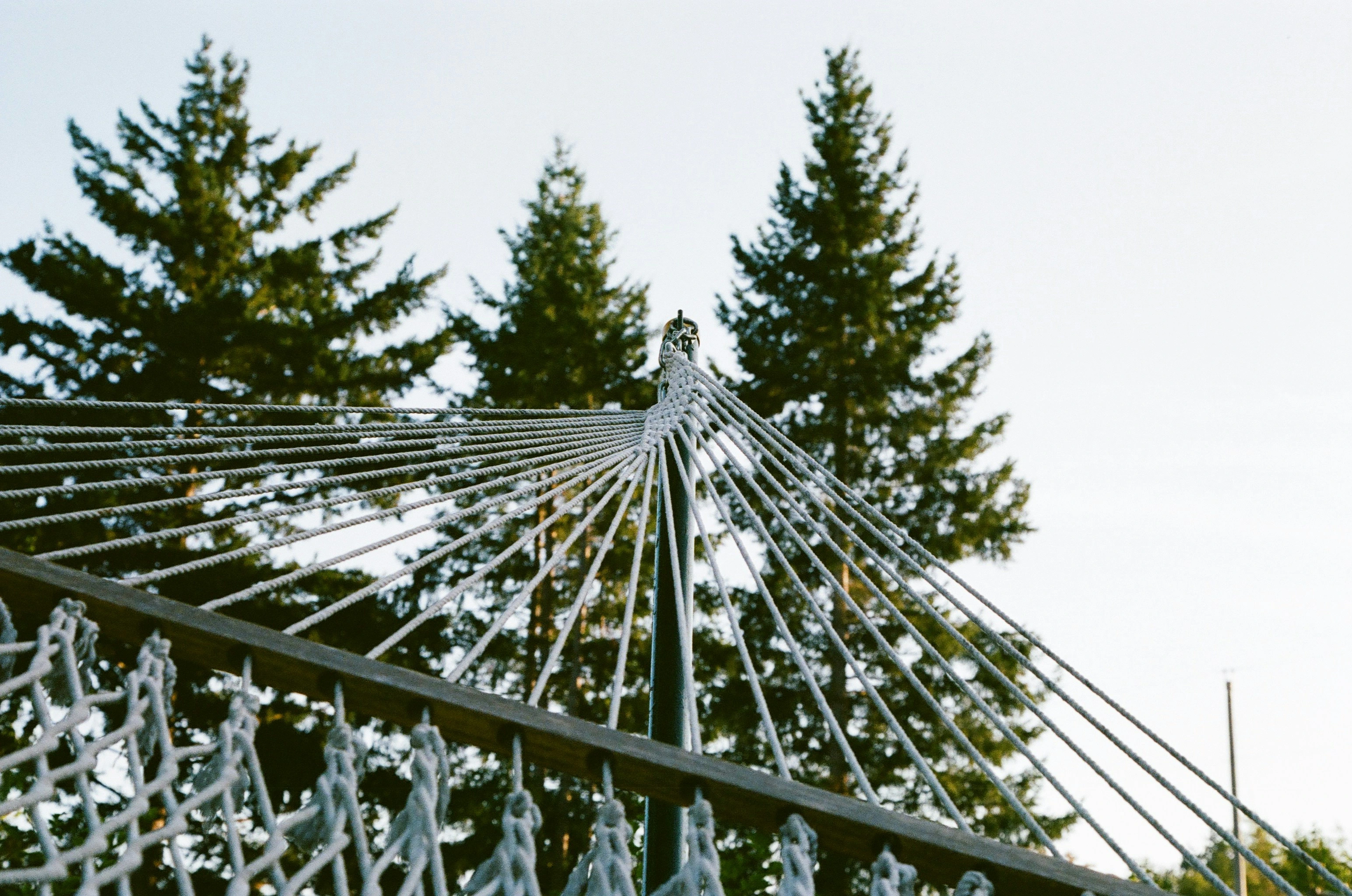 rich-morgan CV image 1